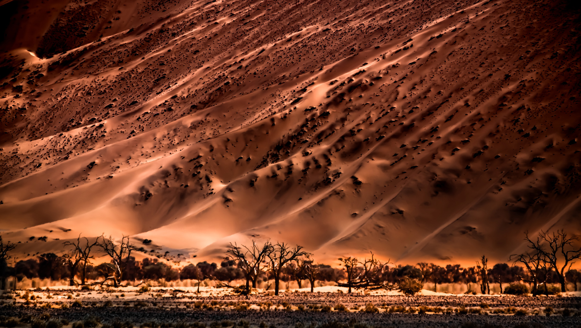Closeup from Sand Dune in namib Desert
